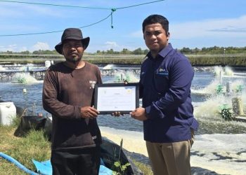 Petani Tambak Udang di Sulsel Hemat Biaya Operasional dan Tembus Pasar Ekspor