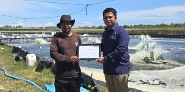Petani Tambak Udang di Sulsel Hemat Biaya Operasional dan Tembus Pasar Ekspor