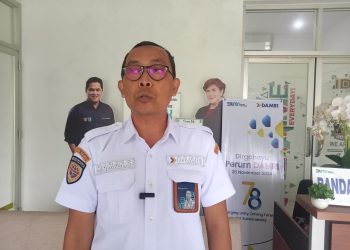 Libur Natal dan Tahun Baru 2025,Ongkos DAMRI Tetap Normal