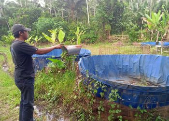 Dana Desa Malingping Selatan 120 juta rupiah dibuang buang