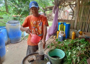 Air kencing Kelinci disulap jadi Pupuk Organik