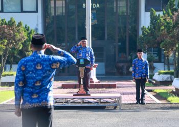Upaya Mengurangi Jumlah PNS dan OPD