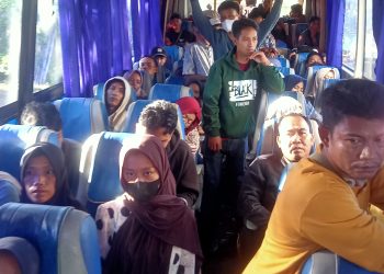 Ongkos Mobil DAMRI Cekik Penumpang