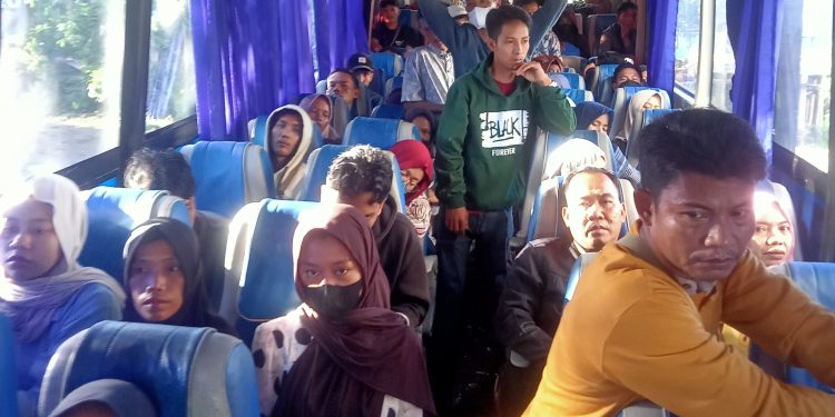 Ongkos Mobil DAMRI Cekik Penumpang