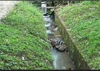 Saluran irigasi di Banten Bakal diperbaiki