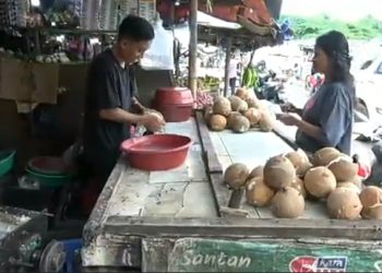 Harga Kelapa Butir di Kota Serang tembus 17 ribu rupiah
