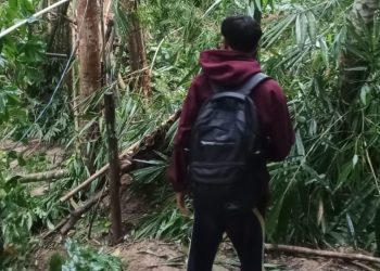 Jembatan Bambu di Kecamatan Cimarga Putus