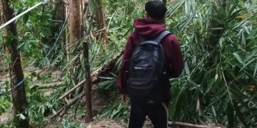 Jembatan Bambu di Kecamatan Cimarga Putus