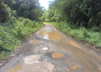 Jalan Di Desa Tambak Baya Kabupaten Lebak Rusak Parah