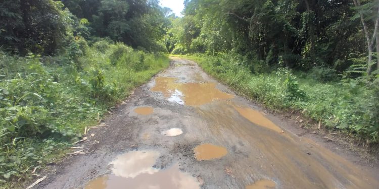 Jalan Di Desa Tambak Baya Kabupaten Lebak Rusak Parah
