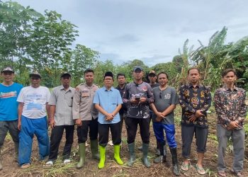 Desa Walikukun Gerakkan Budidaya Jagung Hibrida, Langkah Strategis Bangun Kemandirian Ekonomi