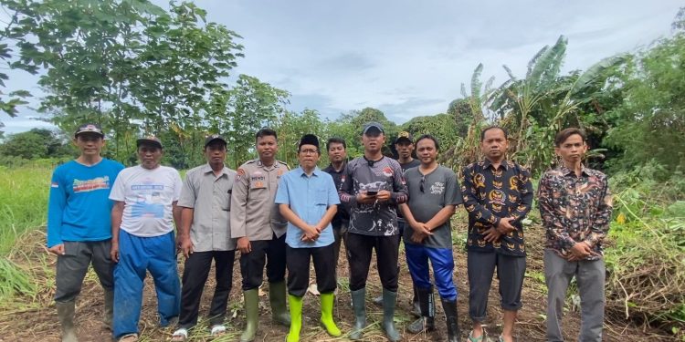 Desa Walikukun Gerakkan Budidaya Jagung Hibrida, Langkah Strategis Bangun Kemandirian Ekonomi