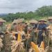 Batalyon Infanteri Panen Jagung Di Kabupaten Lebak