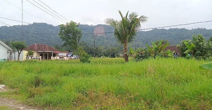 Dugaan Penebangan Pohon di Gunung Kaupas Kabupaten Serang