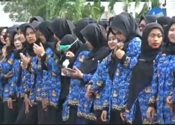 Sistem Outsourcing Berlaku Bagi Honorer Kota Serang