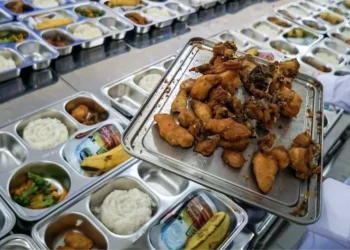Menakar Efektivitas MBG: Antara Investasi SDM dan Problematika Administrasi Negara